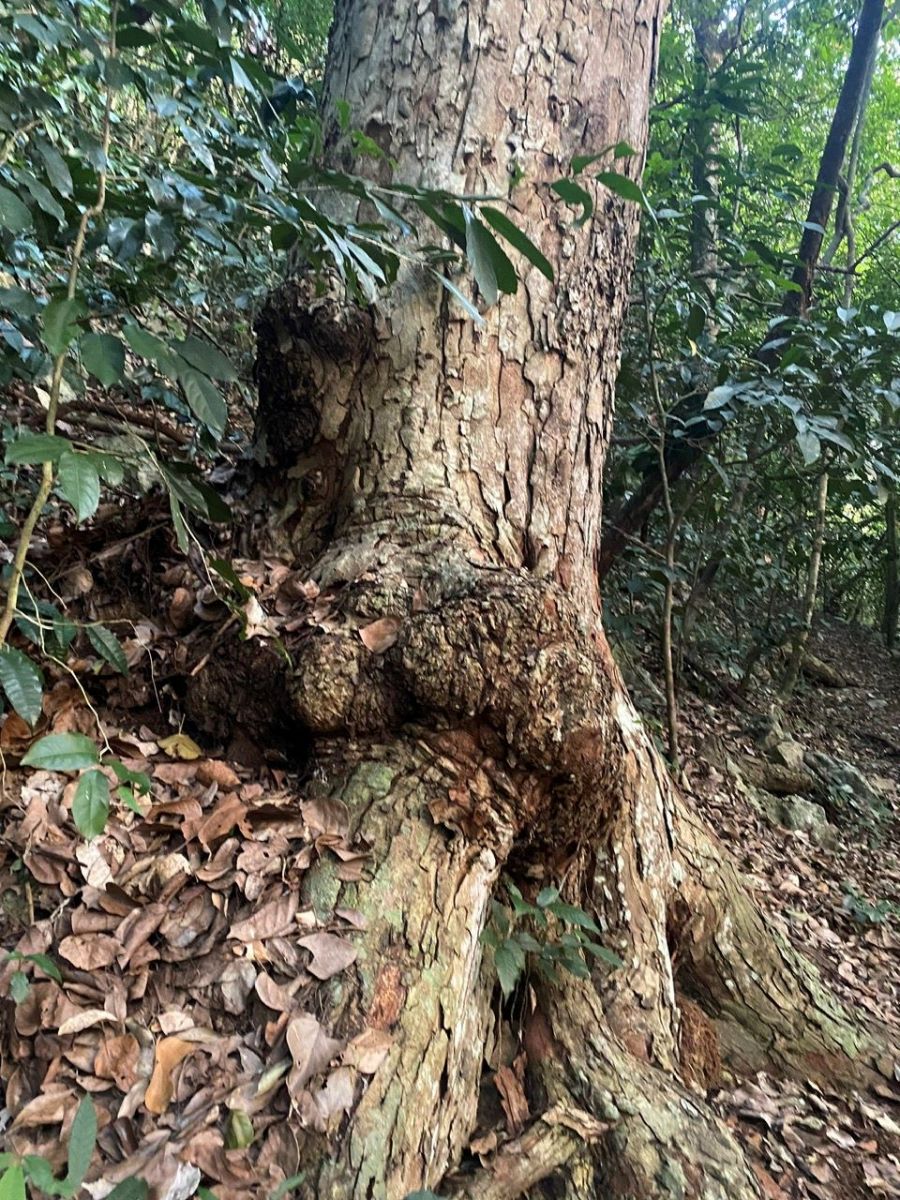 Đang cập nhật...