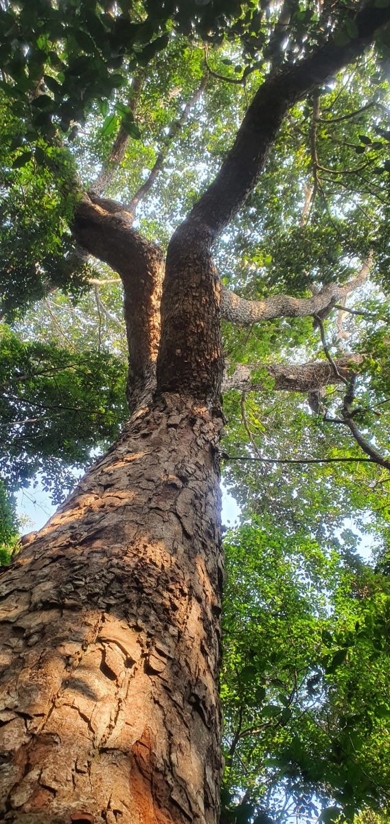 Đang cập nhật..